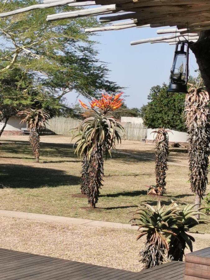 Bayala Private Safari Lodge Hluhluwe Dış mekan fotoğraf