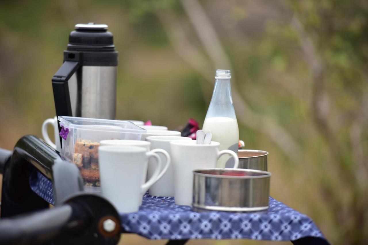 Bayala Private Safari Lodge Hluhluwe Dış mekan fotoğraf