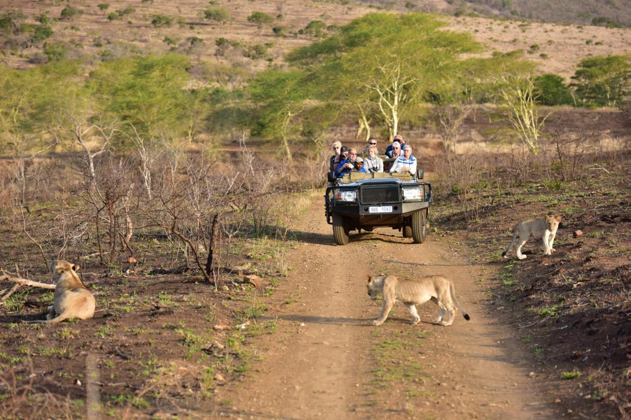 Bayala Private Safari Lodge Hluhluwe Dış mekan fotoğraf