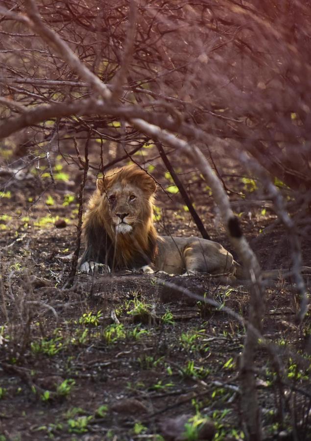 Bayala Private Safari Lodge Hluhluwe Dış mekan fotoğraf